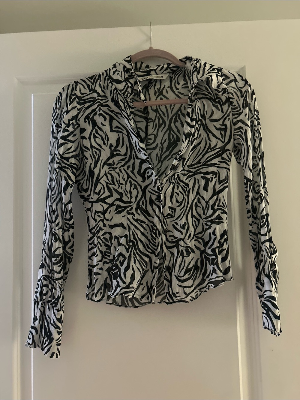 Sheer Zara Button Up Shirt